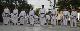 Brown and black belts